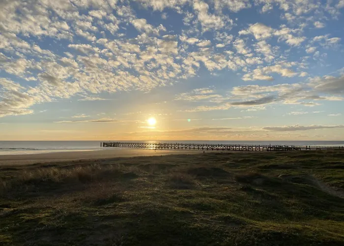 T2bis, Petit Coin De Paradis Face à La *